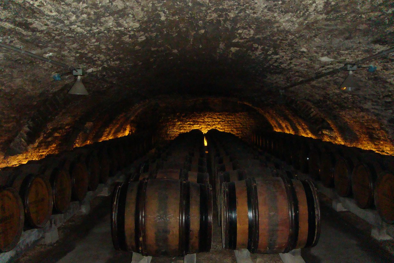 Oak barrels resting in a vaulted underground wine cellar. A representative cellar photograph, not the venue visited on this tour.